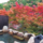 【関西】紅葉を見ながら入浴できる日帰り温泉おすすめ５選！
